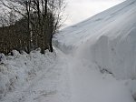 39 Giochi di vento e neve
